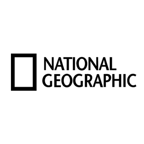 Brand logo 4